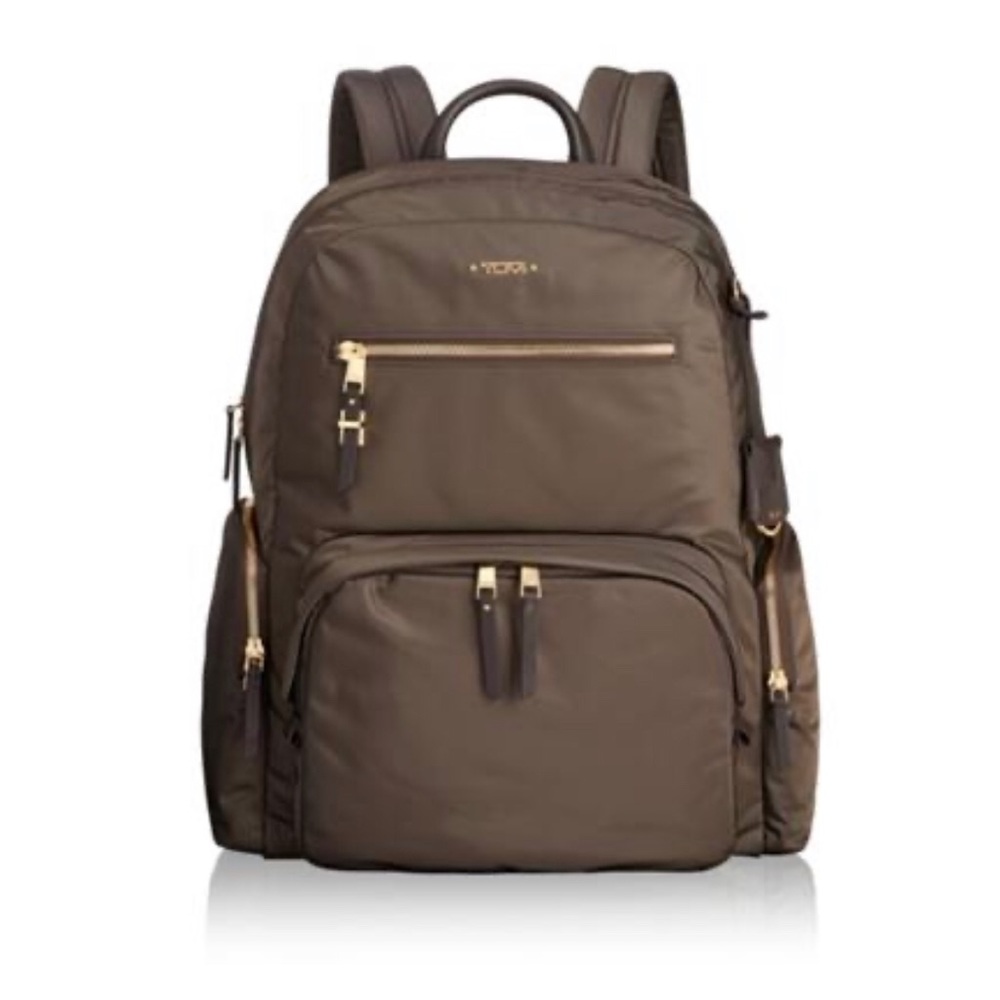 Tumi Voyageur Carson Mink Backpack
